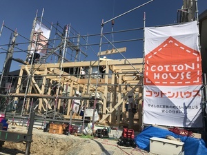 半田山2.JPG