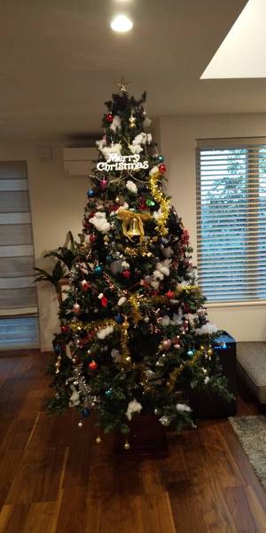 2019　クリスマスツリー.JPG
