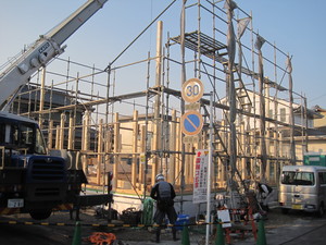 IMG_2378.JPG