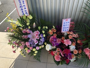 IMG_6643.JPG