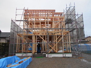 DSCN3729.JPG