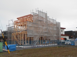 DSCN3731.JPG
