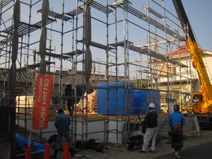 IMG_3458.JPG