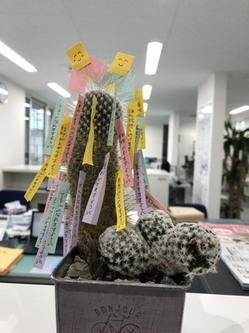 1594449734429.jpgのサムネイル画像