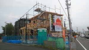 IMG_20200720_174556.jpg