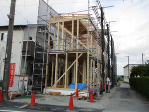 202007154.JPG