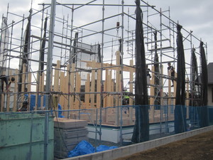 IMG_5267.JPG