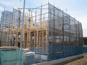 IMG_5270.JPG