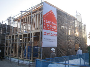 IMG_5855.JPG