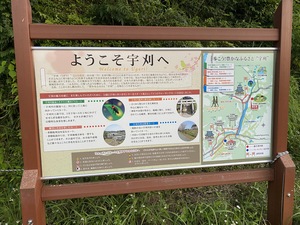 IMG_0578.jpg