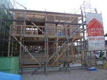 ２０１３．３．３０.JPG